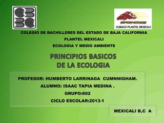 COLEGIO DE BACHILLERES DEL ESTADO DE BAJA CALIFORNIA
                 PLANTEL MEXICALI
             ECOLOGIA Y MEDIO AMBIENTE




PROFESOR: HUMBERTO LARRINAGA CUMNNIGHAM.
        ALUMNO: ISAAC TAPIA MEDINA .
                  GRUPO:602
            CICLO ESCOLAR:2013-1

                                      MEXICALI B,C A
 