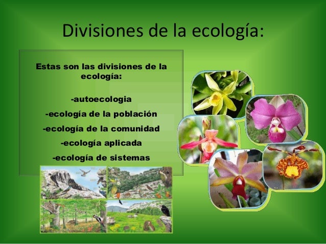 Ecologia