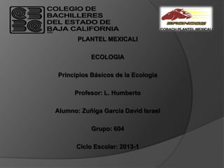 PLANTEL MEXICALI

           ECOLOGIA

Principios Básicos de la Ecologia

      Profesor: L. Humberto

Alumno: Zuñiga Garcia David Israel

           Grupo: 604

      Ciclo Escolar: 2013-1
 