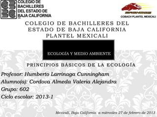 COLEGIO DE BACHILLERES DEL
          ESTADO DE BAJA CALIFORNIA
              PLANTEL MEXICALI


                 ECOLOGÍA Y MEDIO AMBIENTE

         PRINCIPIOS BÁSICOS DE LA ECOLOGÍA

Profesor: Humberto Larrinaga Cunningham
Alumno(a): Cordova Almeda Valeria Alejandra
Grupo: 602
Ciclo escolar: 2013-1

                    Mexicali, Baja California a miércoles 27 de febrero de 2013
 