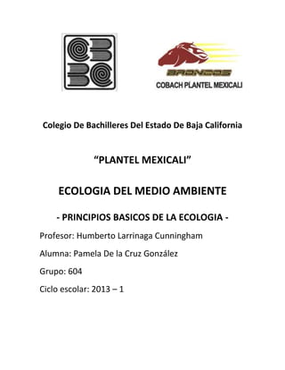 Colegio De Bachilleres Del Estado De Baja California


              “PLANTEL MEXICALI”

     ECOLOGIA DEL MEDIO AMBIENTE

    - PRINCIPIOS BASICOS DE LA ECOLOGIA -
Profesor: Humberto Larrinaga Cunningham
Alumna: Pamela De la Cruz González
Grupo: 604
Ciclo escolar: 2013 – 1
 