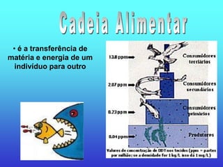 • é a transferência de
matéria e energia de um
  indivíduo para outro
 