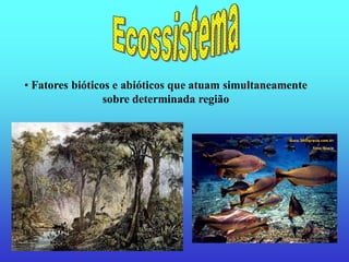 • Fatores bióticos e abióticos que atuam simultaneamente
                 sobre determinada região
 