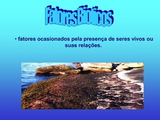 • fatores ocasionados pela presença de seres vivos ou
                   suas relações.
 