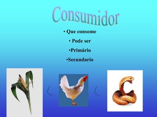 • Que consome
  • Pode ser
  •Primário
 •Secundario
 
