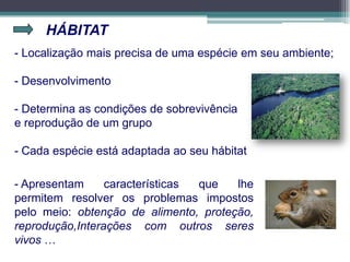 HÁBITAT
- Localização mais precisa de uma espécie em seu ambiente;
- Desenvolvimento
- Determina as condições de sobrevivência
e reprodução de um grupo
- Cada espécie está adaptada ao seu hábitat
- Apresentam características que lhe
permitem resolver os problemas impostos
pelo meio: obtenção de alimento, proteção,
reprodução,Interações com outros seres
vivos …
 