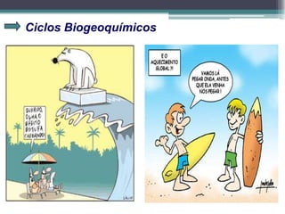 Ciclos Biogeoquímicos
 
