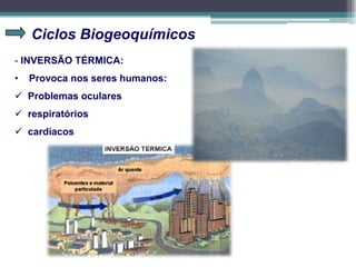 Ciclos Biogeoquímicos
- INVERSÃO TÉRMICA:
• Provoca nos seres humanos:
 Problemas oculares
 respiratórios
 cardíacos
 
