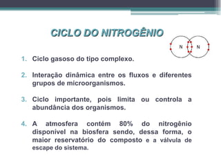 CICLO DO NITROGÊNIO
1. Ciclo gasoso do tipo complexo.
2. Interação dinâmica entre os fluxos e diferentes
grupos de microorganismos.
3. Ciclo importante, pois limita ou controla a
abundância dos organismos.
4. A atmosfera contém 80% do nitrogênio
disponível na biosfera sendo, dessa forma, o
maior reservatório do composto e a válvula de
escape do sistema.
 