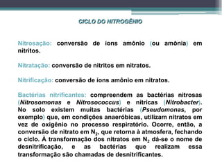CICLO DO NITROGÊNIO
Nitrosação: conversão de íons amônio (ou amônia) em
nitritos.
Nitratação: conversão de nitritos em nitratos.
Nitrificação: conversão de íons amônio em nitratos.
Bactérias nitrificantes: compreendem as bactérias nitrosas
(Nitrosomonas e Nitrosococcus) e nítricas (Nitrobacter).
No solo existem muitas bactérias (Pseudomonas, por
exemplo) que, em condições anaeróbicas, utilizam nitratos em
vez de oxigênio no processo respiratório. Ocorre, então, a
conversão de nitrato em N2, que retorna à atmosfera, fechando
o ciclo. À transformação dos nitratos em N2 dá-se o nome de
desnitrificação, e as bactérias que realizam essa
transformação são chamadas de desnitrificantes.
 