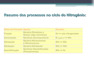 Nome do Processo Agente Equação
Fixação
Bactéria Rhizobium e
Nostoc (alga cianofícea)
N2 => sais nitrogenados
Amonização Bactérias decompositoras N orgânico => NH4
Nitrosação
Bactéria Nitrosomonas
e Nitrosococcus
NH4 => NO2
Nitratação Bactéria Nitrobacter NO2 => NO3
Desnitrificação
Bactérias Desnitrificantes
(Pseudomonas)
NO3 => N2
Resumo dos processos no ciclo do Nitrogênio:
 