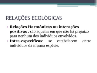 RELAÇÕES ECOLÓGICAS
• Relações Harmônicas ou interações
positivas : são aquelas em que não há prejuízo
para nenhum dos indivíduos envolvidos.
• Intra-específicas: se estabelecem entre
indivíduos da mesma espécie.
 