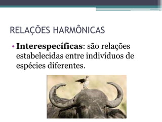 RELAÇÕES HARMÔNICAS
• Interespecíficas: são relações
estabelecidas entre indivíduos de
espécies diferentes.
 