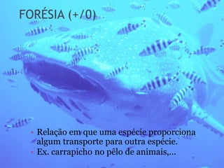 FORÉSIA (+/0)
• Relação em que uma espécie proporciona
algum transporte para outra espécie.
• Ex. carrapicho no pêlo de animais,...
 