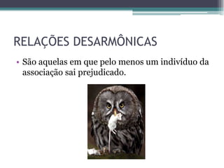 RELAÇÕES DESARMÔNICAS
• São aquelas em que pelo menos um indivíduo da
associação sai prejudicado.
 