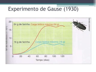 Experimento de Gause (1930)
 
