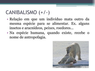 CANIBALISMO (+/-)
• Relação em que um indivíduo mata outro da
mesma espécie para se alimentar. Ex. alguns
insetos e aracnídeos, peixes, roedores...
• Na espécie humana, quando existe, recebe o
nome de antropofagia.
 