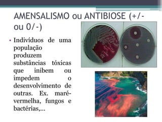 AMENSALISMO ou ANTIBIOSE (+/-
ou 0/-)
• Indivíduos de uma
população
produzem
substâncias tóxicas
que inibem ou
impedem o
desenvolvimento de
outras. Ex. maré-
vermelha, fungos e
bactérias,...
 
