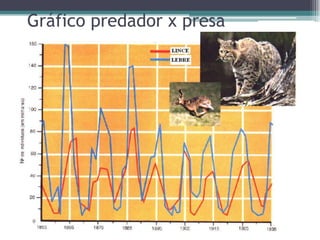 Gráfico predador x presa
 