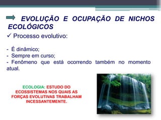 EVOLUÇÃO E OCUPAÇÃO DE NICHOS
ECOLÓGICOS
 Processo evolutivo:
- É dinâmico;
- Sempre em curso;
- Fenômeno que está ocorrendo também no momento
atual.
ECOLOGIA: ESTUDO DO
ECOSSISTEMAS NOS QUAIS AS
FORÇAS EVOLUTIVAS TRABALHAM
INCESSANTEMENTE.
 