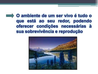 O ambiente de um ser vivo é tudo o
que está ao seu redor, podendo
oferecer condições necessárias à
sua sobrevivência e reprodução
 