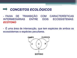 CONCEITOS ECOLÓGICOS
- FAIXA DE TRANSIÇÃO COM CARACTERÍSTICAS
INTERMEDIÁRIAS ENTRE DOIS ECOSSISTEMAS:
ECÓTONO
- É uma área de intersecção, que tem espécies de ambos os
ecossistemas e espécies peculiares.
 