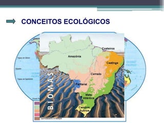 CONCEITOS ECOLÓGICOS
 