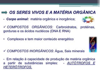 OS SERES VIVOS E A MATÉRIA ORGÂNICA
- Corpo animal: matéria orgânica e inorgânica;
 COMPOSTOS ORGÂNICOS: Carbroidratos, protéinas,
gorduras e os ácidos nucléicos (DNA E RNA)
• Complexos e tem maior conteúdo energético
 COMPOSTOS INORGÂNICOS: Água, Sais minerais
- Em relação à capacidade de produção de matéria orgânica
a partir de substânicias simples: - AUTÓTROFOS E
HETERÓTROFOS.
 