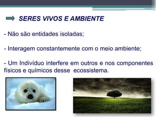 SERES VIVOS E AMBIENTE
- Não são entidades isoladas;
- Interagem constantemente com o meio ambiente;
- Um Indivíduo interfere em outros e nos componentes
físicos e químicos desse ecossistema.
 