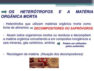 OS HETERÓTROFOS E A MATÉRIA
ORGÂNICA MORTA
- Heterótrofos que utilizam matérias orgânica morta como
fonte de alimentos
- Atuam sobre organismos mortos ou resíduos e decompõem
a matéria orgânica convertendo-a em compostos inorgânicos e
sais minerais, gás carbônico, amônia
- Reciclagem da matéria (Atuação dos decompositores)
DECOMPOSITORES OU SAPRÓVOROS
Podem ser utilizados
pelos autótrofos
 
