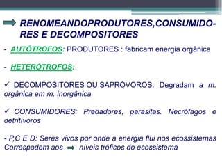RENOMEANDOPRODUTORES,CONSUMIDO-
RES E DECOMPOSITORES
- AUTÓTROFOS: PRODUTORES : fabricam energia orgânica
- HETERÓTROFOS:
 DECOMPOSITORES OU SAPRÓVOROS: Degradam a m.
orgânica em m. inorgânica
 CONSUMIDORES: Predadores, parasitas. Necrófagos e
detritívoros
- P,C E D: Seres vivos por onde a energia flui nos ecossistemas
Correspodem aos níveis tróficos do ecossistema
 