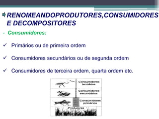 RENOMEANDOPRODUTORES,CONSUMIDORES
E DECOMPOSITORES
- Consumidores:
 Primários ou de primeira ordem
 Consumidores secundários ou de segunda ordem
 Consumidores de terceira ordem, quarta ordem etc.
 