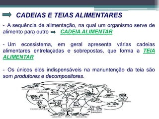 CADEIAS E TEIAS ALIMENTARES
- A sequência de alimentação, na qual um organismo serve de
alimento para outro CADEIA ALIMENTAR
- Um ecossistema, em geral apresenta várias cadeias
alimentares entrelaçadas e sobrepostas, que forma a TEIA
ALIMENTAR
- Os únicos elos indispensáveis na manuntenção da teia são
som produtores e decompositores.
 