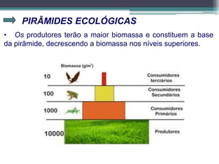 PIRÂMIDES ECOLÓGICAS
• Os produtores terão a maior biomassa e constituem a base
da pirâmide, decrescendo a biomassa nos níveis superiores.
 