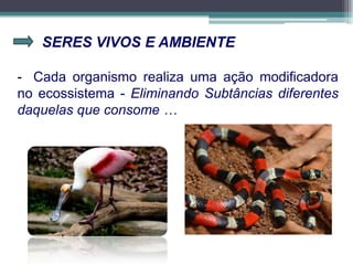 SERES VIVOS E AMBIENTE
- Cada organismo realiza uma ação modificadora
no ecossistema - Eliminando Subtâncias diferentes
daquelas que consome …
 