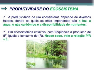 PRODUTIVIDADE DO ECOSSISTEMA
 A produtividade de um ecossistema depende de diversos
fatores, dentre os quais os mais importantes são a luz, a
água, o gás carbônico e a disponibilidade de nutrientes.
 Em ecossistemas estáveis, com freqüência a produção de
(P) iguala o consumo de (R). Nesse caso, vale a relação P/R
= 1.
 