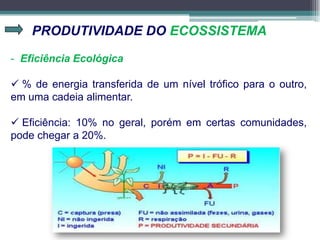 PRODUTIVIDADE DO ECOSSISTEMA
- Eficiência Ecológica
 % de energia transferida de um nível trófico para o outro,
em uma cadeia alimentar.
 Eficiência: 10% no geral, porém em certas comunidades,
pode chegar a 20%.
 
