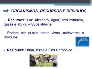 ORGANISMOS, RECURSOS E RESÍDUOS
- Recursos: Luz, alimento, água, sais minerais,
gases e abrigo – Subsistência
- Podem ser outros seres vivos, cadávares e
resíduos
- Resíduos: Urina, fezes e Gás Carbônico
 