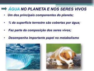 ÁGUA NO PLANETA E NOS SERES VIVOS
• Um dos principais componentes do planeta;
• ¾ da superfície terrestre são cobertas por água;
• Faz parte da composição dos seres vivos;
• Desempenha importante papel no metabolismo
 