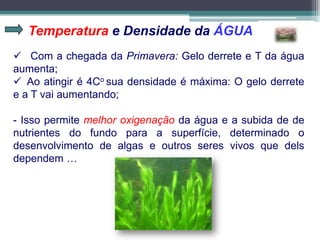 Temperatura e Densidade da ÁGUA
 Com a chegada da Primavera: Gelo derrete e T da água
aumenta;
 Ao atingir é 4Co sua densidade é máxima: O gelo derrete
e a T vai aumentando;
- Isso permite melhor oxigenação da água e a subida de de
nutrientes do fundo para a superfície, determinado o
desenvolvimento de algas e outros seres vivos que dels
dependem …
 