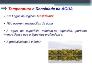 Temperatura e Densidade da ÁGUA
- Em Lagos de regiões TROPICAIS:
• Não ocorrem reviravoltas da água
• A água da superfície mantém-se aquecida, portanto,
menos densa que a água das profundezas.
• A produtividade é inferior
 