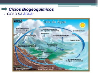 Ciclos Biogeoquímicos
- CICLO DA ÁGUA:
 