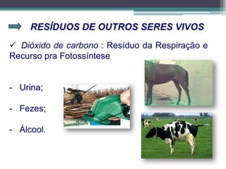 RESÍDUOS DE OUTROS SERES VIVOS
 Dióxido de carbono : Resíduo da Respiração e
Recurso pra Fotossíntese
- Urina;
- Fezes;
- Álcool.
 