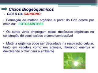 Ciclos Biogeoquímicos
- CICLO DA CARBONO:
• Formação de matéria orgânica a partir do Co2 ocorre por
meio da: FOTOSSÍNTESE
• Os seres vivos empregam essas moléculas orgânicas na
construção de seus tecidos e como combustível
• Matéria orgânica pode ser degradada na respiração celular,
tanto em vegetais como em animais, liberando energia e
devolvendo o Co2 para o ambiente
 