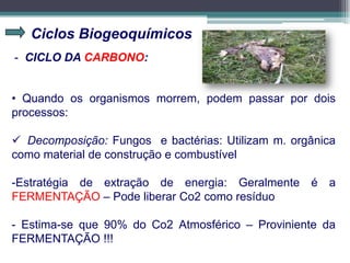 Ciclos Biogeoquímicos
- CICLO DA CARBONO:
• Quando os organismos morrem, podem passar por dois
processos:
 Decomposição: Fungos e bactérias: Utilizam m. orgânica
como material de construção e combustível
-Estratégia de extração de energia: Geralmente é a
FERMENTAÇÃO – Pode liberar Co2 como resíduo
- Estima-se que 90% do Co2 Atmosférico – Proviniente da
FERMENTAÇÃO !!!
 