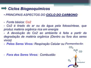 Ciclos Biogeoquímicos
• PRINCIPAIS ASPECTOS DO CICLO DO CARBONO:
- Fonte básica: Co2
- Co2 é tirado do ar ou da água pela fotossíntese, que
produz matéria orgânica rica em energia
- A devolução do Co2 ao ambiente é feita a partir da
degradação de matéria orgânica (Dentro ou fora dos seres
vivos)
- Pelos Seres Vivos: Respiração Celular ou Fermentação
- Fora dos Seres Vivos: Combustão
 