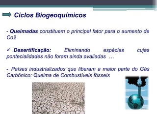 Ciclos Biogeoquímicos
- Queimadas constituem o principal fator para o aumento de
Co2
 Desertificação: Eliminando espécies cujas
pontecialidades não foram ainda avaliadas …
- Países industrializados que liberam a maior parte do Gás
Carbônico: Queima de Combustíveis fósseis
 