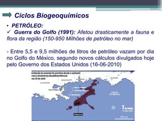 Ciclos Biogeoquímicos
• PETRÓLEO:
 Guerra do Golfo (1991): Afetou drasticamente a fauna e
flora da região (150-950 Milhões de petróleo no mar)
- Entre 5,5 e 9,5 milhões de litros de petróleo vazam por dia
no Golfo do México, segundo novos cálculos divulgados hoje
pelo Governo dos Estados Unidos (16-06-2010)
 
