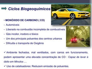Ciclos Biogeoquímicos
• MONÓXIDO DE CARBONO ( CO)
- Automóveis
- Liberado na combustão incompleta de combustíveis
- Gás incolor, inodoro e tóxico
- Um dos principais poluentes dos centros urbanos
- Dificulta o transporte de Oxigênio
 Ambiente fechados, mal ventilados, com carros em funcionamento,
podem apresentar uma elevada concentração de CO : Capaz de levar à
óbito em Minutos ....
 Uso de catalisadores: Reduzem emissão de poluentes.
 