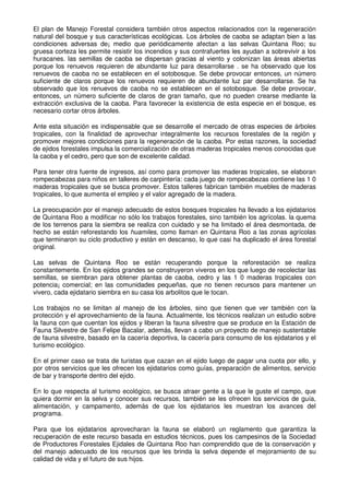 El plan de Manejo Forestal considera también otros aspectos relacionados con la regeneración
natural del bosque y sus características ecológicas. Los árboles de caoba se adaptan bien a las
condiciones adversas de¡ medio que periódicamente afectan a las selvas Quintana Roo; su
gruesa corteza les permite resistir los incendios y sus contrafuertes les ayudan a sobrevivir a los
huracanes. las semillas de caoba se dispersan gracias al viento y colonizan las áreas abiertas
porque los renuevos requieren de abundante luz para desarrollarse . se ha observado que los
renuevos de caoba no se establecen en el sotobosque. Se debe provocar entonces, un número
suficiente de claros porque los renuevos requieren de abundante luz par desarrollarse. Se ha
observado que los renuevos de caoba no se establecen en el sotobosque. Se debe provocar,
entonces, un número suficiente de claros de gran tamaño, que no pueden crearse mediante la
extracción exclusiva de la caoba. Para favorecer la existencia de esta especie en el bosque, es
necesario cortar otros árboles.
Ante esta situación es indispensable que se desarrolle el mercado de otras especies de árboles
tropicales, con la finalidad de aprovechar integralmente los recursos forestales de la región y
promover mejores condiciones para la regeneración de la caoba. Por estas razones, la sociedad
de ejidos forestales impulsa la comercialización de otras maderas tropicales menos conocidas que
la caoba y el cedro, pero que son de excelente calidad.
Para tener otra fuente de ingresos, así como para promover las maderas tropicales, se elaboran
rompecabezas para niños en talleres de carpintería: cada juego de rompecabezas contiene las 1 0
maderas tropicales que se busca promover. Estos talleres fabrican también muebles de maderas
tropicales, lo que aumenta el empleo y el valor agregado de la madera.
La preocupación por el manejo adecuado de estos bosques tropicales ha llevado a los ejidatarios
de Quintana Roo a modificar no sólo los trabajos forestales, sino también los agrícolas. la quema
de los terrenos para la siembra se realiza con cuidado y se ha limitado el área desmontada, de
hecho se están reforestando los huamiles, como llaman en Quintana Roo a las zonas agrícolas
que terminaron su ciclo productivo y están en descanso, lo que casi ha duplicado el área forestal
original.
Las selvas de Quintana Roo se están recuperando porque la reforestación se realiza
constantemente. En los ejidos grandes se construyeron viveros en los que luego de recolectar las
semillas, se siembran para obtener plantas de caoba, cedro y las 1 0 maderas tropicales con
potencia¡ comercial; en las comunidades pequeñas, que no tienen recursos para mantener un
vivero, cada ejidatario siembra en su casa los arbolitos que le tocan.
Los trabajos no se limitan al manejo de los árboles, sino que tienen que ver también con la
protección y el aprovechamiento de la fauna. Actualmente, los técnicos realizan un estudio sobre
la fauna con que cuentan los ejidos y liberan la fauna silvestre que se produce en la Estación de
Fauna Silvestre de San Felipe Bacalar, además, llevan a cabo un proyecto de manejo sustentable
de fauna silvestre, basado en la cacería deportiva, la cacería para consumo de los ejidatarios y el
turismo ecológico.
En el primer caso se trata de turistas que cazan en el ejido luego de pagar una cuota por ello, y
por otros servicios que les ofrecen los ejidatarios como guías, preparación de alimentos, servicio
de bar y transporte dentro del ejido.
En lo que respecta al turismo ecológico, se busca atraer gente a la que le guste el campo, que
quiera dormir en la selva y conocer sus recursos, también se les ofrecen los servicios de guía,
alimentación, y campamento, además de que los ejidatarios les muestran los avances del
programa.
Para que los ejidatarios aprovecharan la fauna se elaboró un reglamento que garantiza la
recuperación de este recurso basada en estudios técnicos, pues los campesinos de la Sociedad
de Productores Forestales Ejidales de Quintana Roo han comprendido que de la conservación y
del manejo adecuado de los recursos que les brinda la selva depende el mejoramiento de su
calidad de vida y el futuro de sus hijos.
 